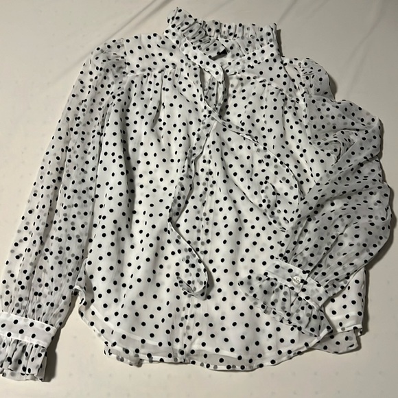 Pussybow Velvet Polka Dot Blouse - Picture 1 of 5